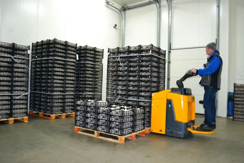 Crates of Mushrooms 3